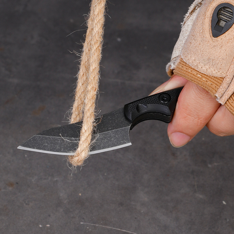 5CR15 Roestvrij Staal Kleine V - Edc Pocket Carry Fixed Blade recensie en prijs