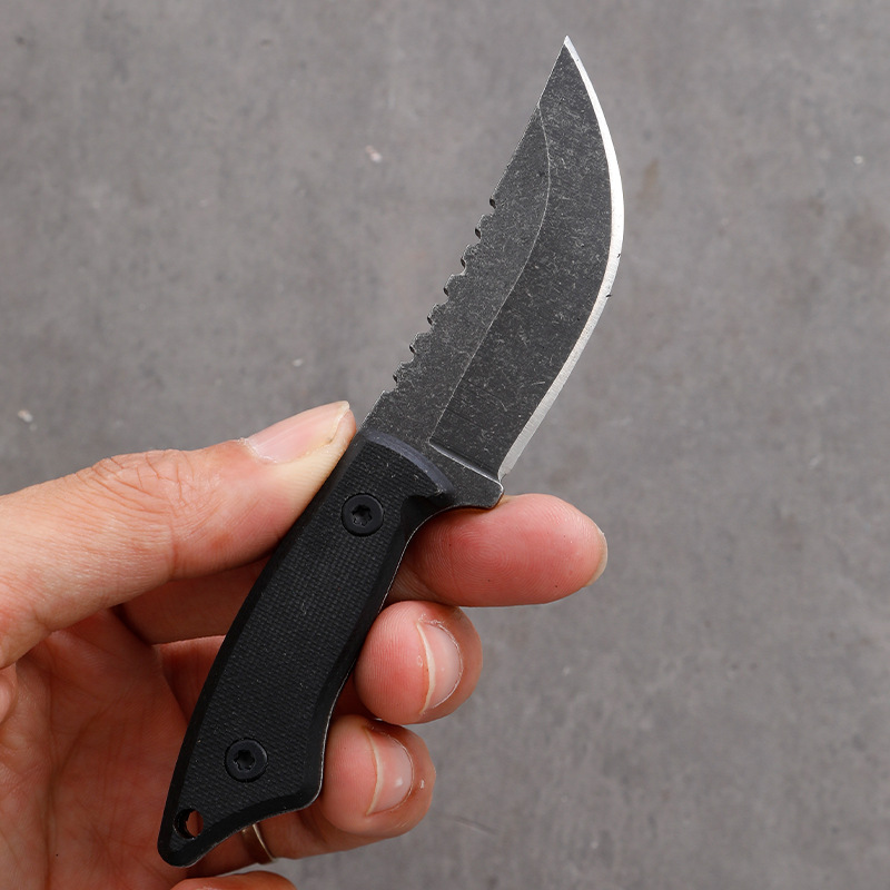 5CR15 Roestvrij Staal Kleine V - Edc Pocket Carry Fixed Blade recensie en prijs
